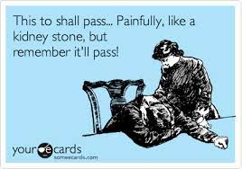 The best memes from instagram, facebook, vine, and twitter about kidney stones humor. This To Shall Pass Painfully Like A Kidney Stone But Remember It Ll Pass Humor Someecards Ecards Funny
