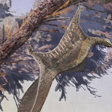 Image result for Hypuronector