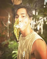 The flowering of nature-inspired art