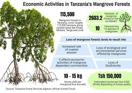 Image result for Astripomoea hyoscyamoides