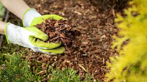 Maybe you would like to learn more about one of these? What Is The Best Mulch For Gardens With Ideas Simplify Gardening