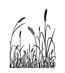 Embossing Folder 4 25 X5 75 Grass Silhouette Jo Ann Grass Silhouette Embossing Folder Embossing Folders