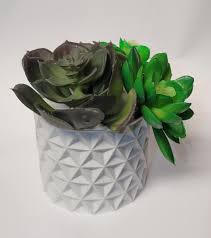 Geodesic Succulent Planter