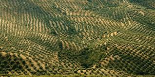 Diese website verwendet cookies, um die nutzerfreundlichkeit zu verbessern. Landraub Vorwurf Gegen Deutsche Bank Frankfurts Sudliches Ackerland Taz De