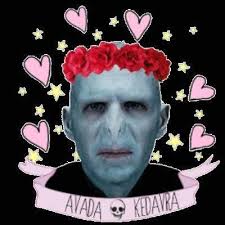 5/10 ¿Que son los...