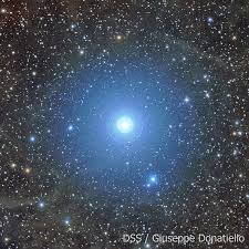 Why Remain Catholic? Jean-Luc Marions Says Because It's Fun: The Commonness  Of The Real