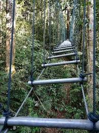September 2 at 5:08 am ·. Gambar Di Skytrex Adventure Sungai Congkak