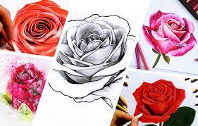Comment dessiner et colorier une rose rouge. 1001 Modeles Et Conseils Pour Apprendre Comment Dessiner Une Rose