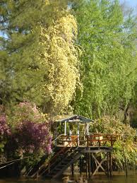 Tigre Buenos Aires Argentina Argentina Paisajes Buenos Aires Argentina Tigre Argentina