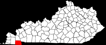 Mcgee pest control's profile is incomplete. Mcgee Pest Control Of Murray Servicing Western Kentucky Since 1962