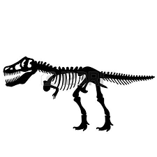 T Rex Dinosaur Skeleton Dinosaur Clip Art Dinosaur Dinosaur Skeleton