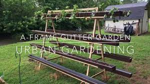A frame garden update urban garden magnolia street garden. A Frame Gutter Garden Urban Gardening Video Magnolia Street Garden Youtube