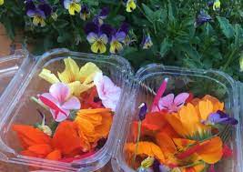 We have 13 florists with 1424 reviews delivering in sydney. Edible Flowers Farm Fresh Organics