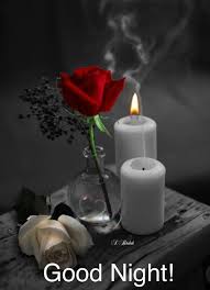 We did not find results for: Good Night Candle Images Pestcare Jakarta