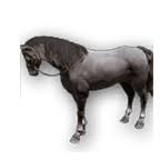 Hopefully, this list has been useful to someone, even if black desert online doesn't have many mounts to choose from. Steam Community Guide Horse Guide Everything About Horses