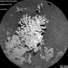 Vikneska Nude - Her Skills are Mind-Blowing with the Best Porn