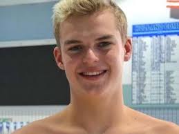 Holland Sentinel All-Area Boys Swimming and Diving