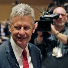 Libertarians Convention in Florida: Crazy, Fun, Unserious