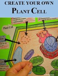 Maybe you would like to learn more about one of these? Plant Cell Organelle Cut And Paste Mrs G S Classroom