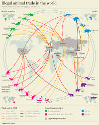 B Global Networks And Flows Ib Dp Geography