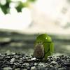 Android logo wallpapers wallpaper cave. Https Encrypted Tbn0 Gstatic Com Images Q Tbn And9gcsnhuyidueprd3zmbdweuu Wxxtk24j0t Gm4tr0mupw5xih1hm Usqp Cau