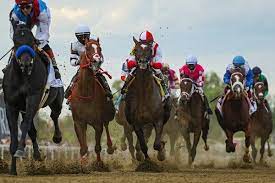 Newport jets book a private business jet charter flight | luxury aircraft services usa newport jets Early Look At Belmont Stakes Reveals No Clear Favorite The New York Times