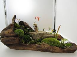 Mini Bonsai Garden Mini Bonsai Bonsai Bonsai Garden