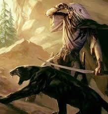 Guenhwyvar - “The gods of the realms are many and varied... | Facebook