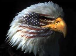 Where The Stars And Stripes And The Eagle Fly By Aaron Tippen Patriotic Pictures Bald Eagle Eagle