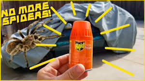 You can certainly request that they not spray your apartment, but mostly likely they will tell you they are going to spray it anyway. How To Get Rid Of Bugs In Your Car Easy And Cheap Youtube