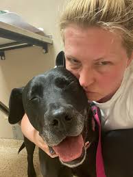 Helping a dog cope with owner's passing?