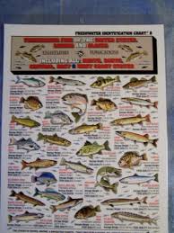 Tightline Publications Fishing F W I D 8 Freshwater