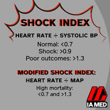 Image result for Shock Index