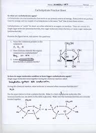 Worksheet Biochemistry Basics Pogil Answer Key Pdf Biological Molecules Worksheet Kids Activities