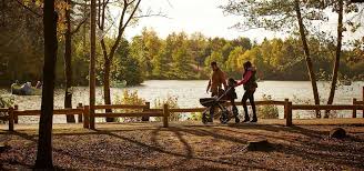 Center parcs longleat forest is an accommodation in wiltshire. Sherwood Forest Holidays Nottinghamshire Breaks Center Parcs
