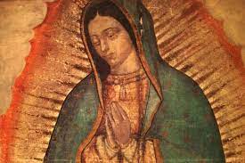 We did not find results for: Four Awesome Facts About Our Lady Of Guadalupe