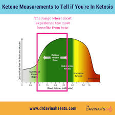 This is a clear indicator of whether or not you are in ketosis. Keto Guide For Dummies A Introduction To Keto Dr Davinah S Eats