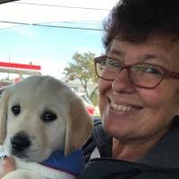 300+ "The Dalian" profiles