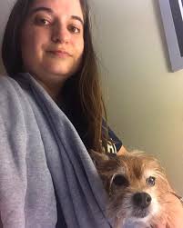 Poor Foxy had another flare up of pancreatitis last night. I thought we  were out of the woods, but we had to go back to the vet for more fluids and  anti-nausea