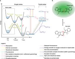 Initial State Of Dna Dye Complex Sets The Stage For Protein