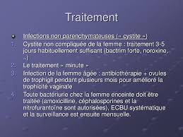 Les traitements pour la cystite aiguë hémorragique chronique ✅. Ppt Infections Genito Urinaires Powerpoint Presentation Free Download Id 1386281