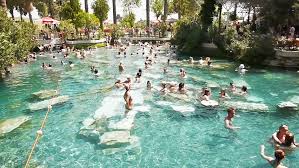 I didn't have a zoom lens so this was the closest i could get. Shutterstock