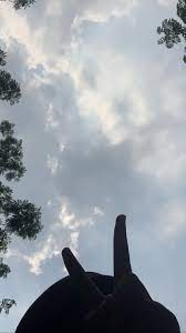 Gratis untuk komersial tidak perlu kredit bebas hak cipta. Aesthetic Photo Fotografi Langit Fotografi Trik Fotografi