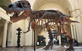 Smithsonian Museum Blames Sam Neill Over T Rex Skeleton Lack Rnz News