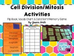 Bioflix Activity Mitosis The Cell Cycle Mitosis Cell Division Activities Division Activities Mitosis Activity Sorting Cards