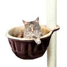 Pin Pa Pet Stuff