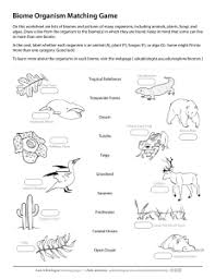 Animal cells alive worksheet answer key. Aab Plant Cell Worksheet