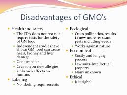 Should genetically modified organisms (gmos) be grown? What Are The Disadvantages Of Genetically Modified Foods