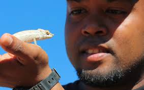 2024 CLP Team Awards: Supporting the next generation of global  conservationists