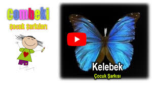 Bir Minicik Kelebek Cocuk Sarkisi Sarki Sozleri Dinle Indir Kelebekler Sarkilar Tintin